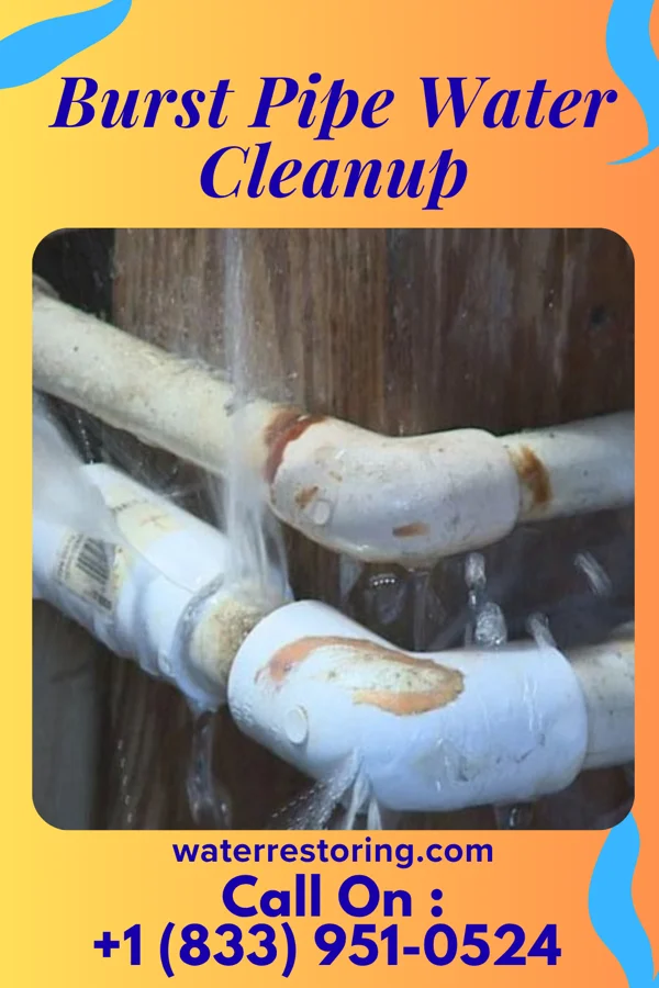 Burst Pipe Water Cleanup in Hazleton, IN