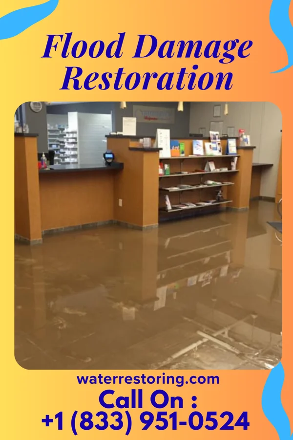 Flood Damage Restoration in Hazleton, IN
