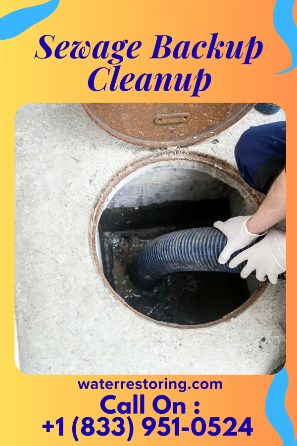 Sewage Backup Cleanup in Hazleton, IN