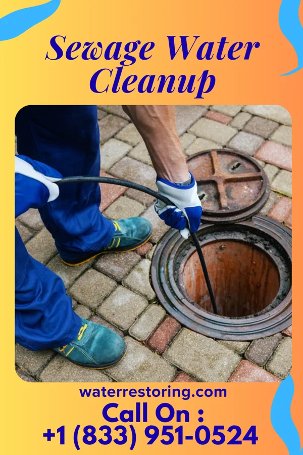 Sewage Water Cleanup in Hazleton, IN