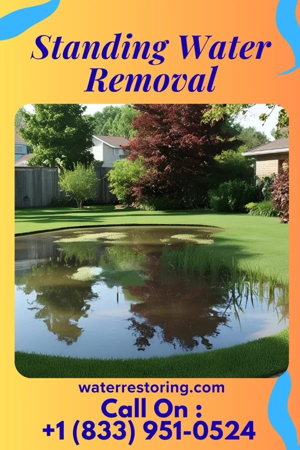 Standing Water Removal in Hazleton, IN